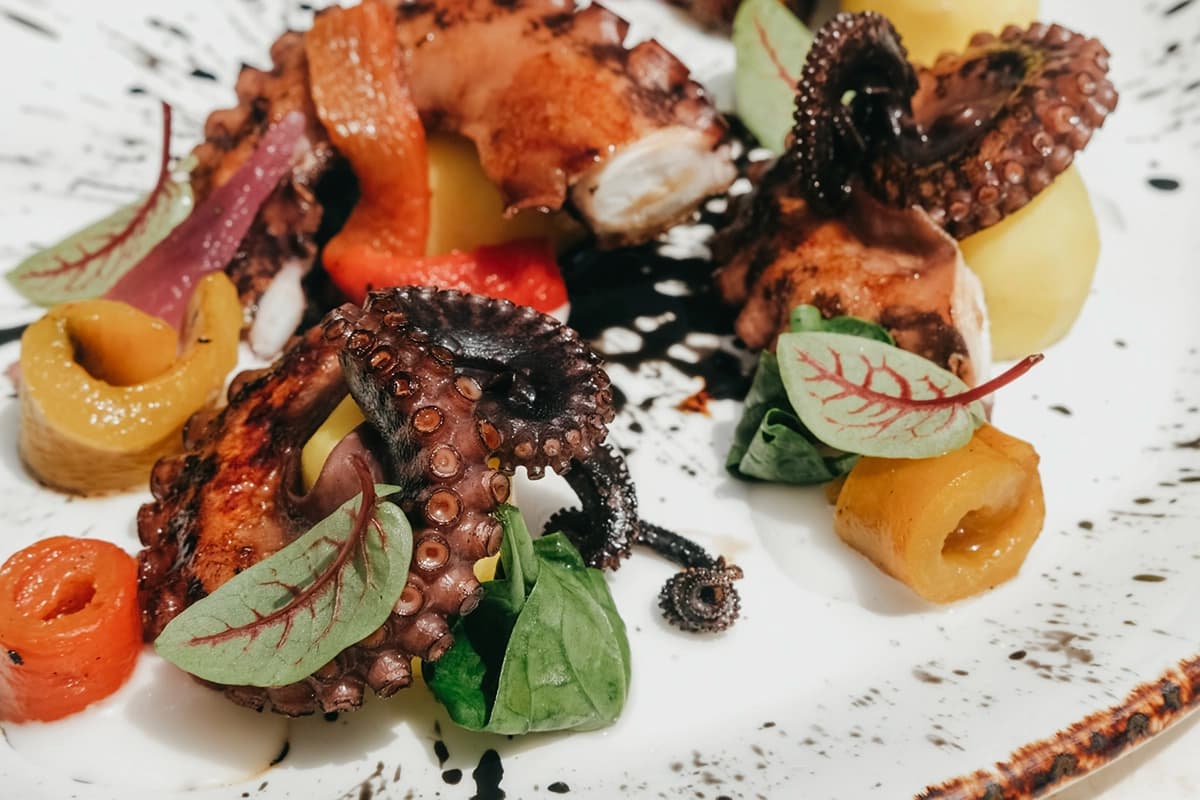 Amici Dish Octopus